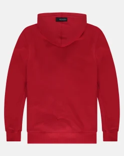 Arctic Hoodie Gemaakt Van Biologisch Katoen