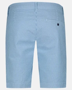 Nantes Seersucker Bachelor Button